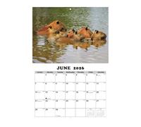 Calendario Da Parete 2026-12 Mesi Calendario Da Parete Con Divertenti Illustrazioni Di Animali Inglesi, Strada Da Tavolo | Calendarrio Mensile Per L'Assemblaggio Parred Per Studenti Consigliere