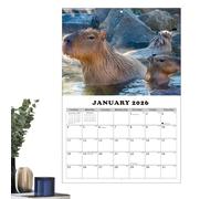 Calendario da parete 2026-2027 - simpatico illustratore Capybara, calendario mensile per due anni, layout di facile lettura | Funzioni Julian Dates per gestire appuntamenti, eventi, scadenze, note