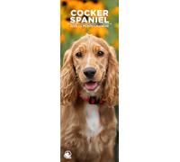 Calendario da parete 2026 Cocker Spaniel, formato sottile, 12 mesi, realizzato in Inghilterra