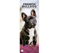 Calendario da parete 2026 con bulldog francese, formato sottile, 12 mesi, realizzato in Inghilterra