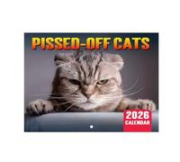 Calendario da parete 2026 con gatti, calendario 2026, da gennaio 2026 a dicembre 2026, 42 x 28,5 cm (aperto), 12 mensili da parete, con foro per appenderlo, regalo di Natale per Capodanno per gli