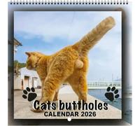 Calendario da parete 2026 con gatto a sfera, 12 mesi, con divertenti momenti felini, planner scrivibile da appendere per la casa