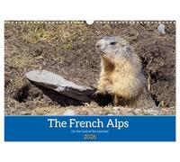 Calendario da parete 2026 DIN A3 orizzontale, motivo: le Alpi francesi, sulla pista della marmotta, calendario da parete CALVENDO da 12 mesi