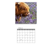 Calendario da parete 2027, 12 , a , con , planner annuale | Calendario mensile per abitudini di lettura, studio sulla salute mentale, scuola, attività di pulizia, esercizi, feste