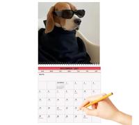Calendario da parete 2027 Agenda Divertente Con Ampia Griglia Per Le Date E