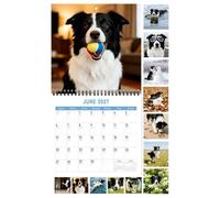 Calendario da parete 2027 - mensile rustica per cani Border Collie