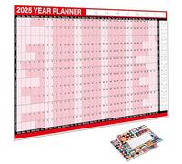 Calendario da parete cancellabile a secco 2025, calendario di pianificazione 2025, calendario da parete 12 mesi, strumento di pianificazione 2025, organizzatore della cronologia annuale, calendario di