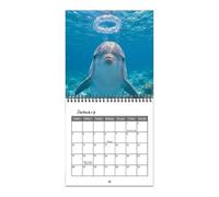 Calendario da parete con delfini, gestione dei programmi di fotografia dei | Calendario mensile da parete per tutto l'anno, per studio, sala da pranzo, soggiorno, camera da letto, amanti degli animali