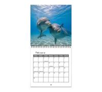 Calendario da parete con delfini, gestione dei programmi di fotografia dei | Calendario mensile da parete per tutto l'anno, per aule, dormitori, camera da letto, studio, studenti, adolescenti, adulti