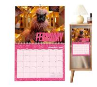 Calendario da parete con gatti per l'anno 2026, calendario da parete per i da gennaio a dicembre 2026 - calendario mensile con motivo a gatto,Per gli amanti dei gattini a casa, studio, ufficio