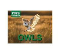 Calendario da parete con gufi 2026 - Calendario mensile e agenda 2026 | Motivo gufi per pianificazione in ufficio, scuola e casa