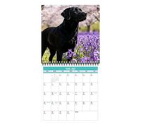 Calendario da parete con motivo cane giocoso 12 mesi da appendere | Calendario da parete 2027 per casa, ufficio, scuola, aula, famiglia, dormitorio, pianificazione insegnante