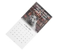 Calendario da Parete Gatti Divertenti 2027, 12 Mesi