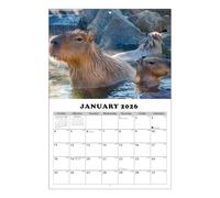 Calendario da parete gennaio 2026-2027 - Pianificatore personale per la gestione del a tema Capybara, calendario scolastico 2026-2027, per casa, scuola, ufficio, aule, sale riunioni e studio