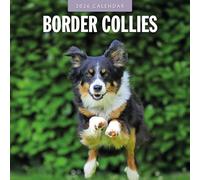 Calendario da parete quadrato 2026 Border Collies Red Robin Publishing