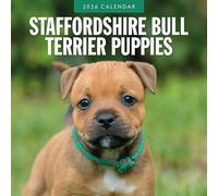 Calendario da parete quadrato 2026 con cuccioli di Staffordshire Bull Terrier Red Robin Publishing