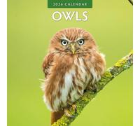 Calendario da parete quadrato 2026 con gufi. Red Robin Publishing