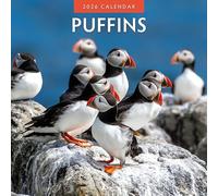 Calendario da parete quadrato 2026, motivo: Puffins Red Robin Publishing