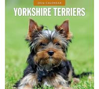 Calendario da parete quadrato 2026, motivo: Yorkshire Terriers Red Robin Publishing