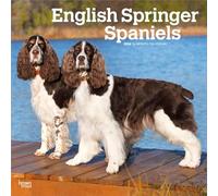 Calendario da parete quadrato mensile 2026 con Springer Spaniel, 30,5 x 61 cm (appeso), senza plastica, BrownTrout | animali con razze di cani