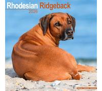 Calendario Da Parete Rhodesian Ridgeback 2026 - Nuovo Di Zecca - 06797