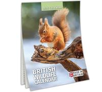 Calendario da parete sottile 2026 della fauna selvatica britannica, idea regalo di Natale per lei, idea regalo per gli uomini - vista mensile per gli amanti della natura Calendario del Regno Unito con