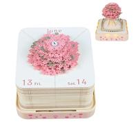 Calendario da scrivania 2025 con luce e tocco, creativo 3D Sakura Tree Post Notes, calendario 2025, blocco promemoria con intaglio di carta, appunti adesivi creativi fai da te, scultura regalo per