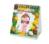 Calendario da tavolo, 10 cm x 10 cm, per il 2026, stile erotico, Kink Ananas, contenuto del set: 1 calendario, 1 ciondolo natalizio, 1 ciondolo di auguri (3 pezzi)