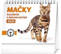 Calendario da Tavolo Gatti con Nomi 2025