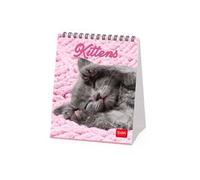 Legami - Calendario da Tavolo 2027, Kittens, Calendario da Scrivania, 12 Mesi e Planner Annuale, in 6 Lingue, Segni zodiacali, Festività internazionali, 12 x 14.5 cm