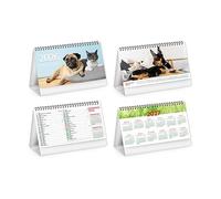 Calendario da tavolo scrivania uffico Olandese 2026 santi e lune festività internazionali cm19x45 (Cani & Gatti)