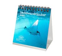 Calendario da tavolo subacqueo per 2023, formato 10 x 10 cm, magia marina