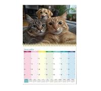Calendario degli animali e dolce, pianificatore, calendario mensile da scrivania 2026, per la pianificazione del posto di lavoro, la scuola, la famiglia, l'apprendimento