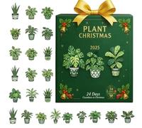 Calendario del conto alla rovescia per Natale - Calendario 'Avvento | Dee Plant Acrilico 2D | Dee Avvento Des Acrilico 2D | des Plants d-e 24 giorni | Per gli amanti d-e la