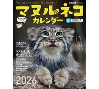 Calendario Del Gatto Pallas 2026 Presentato Da Shunsuke Minamihaba