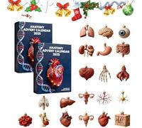 Calendario dell'avvento 2025, anatomia, 24 giorni, set di ornamenti per il corpo umano con scheletro, figure a cuore e cervello, calendario dell'avvento scientifico per medici e amanti dell'anatomia