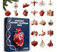 Calendario dell'Avvento 2025, anatomia, conto alla rovescia di Natale di 24 giorni, divertenti ornamenti per il corpo umano con scheletro, cuore, cervello, regalo per studenti di medicina e medici