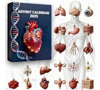 Calendario dell'avvento 2025 anatomico, set di 24 giorni di sorprese di organo, calendario dell'avvento scientifico con parti del corpo umano, ornamenti per studenti di medicina, insegnanti