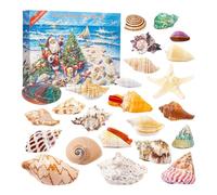 Calendario dell'Avvento 2025 con 24 Conchiglie, Regali Scienziati Educativi da Collezionare per il Conto alla Rovescia dei 24 Giorni di Natale, Ideale per gli Appassionati dell'Oceano