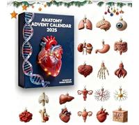Calendario dell'Avvento anatomico 2025, calendario dell'Avvento natalizio di 24 giorni con parti del corpo umano in acrilico 2D, regalo di Natale for gli appassionati di medicina