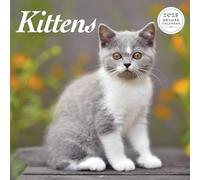 Calendario Deluxe 2025 con gattini