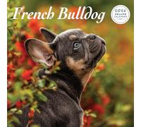 Calendario deluxe 2026 con bulldog francese