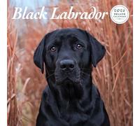 Calendario deluxe 2026 Labrador nero