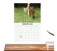 Calendario Divertente - Pianificatore Mensile Umoristico Con Culetto Di Gatto - 2026 Calendario Di Novità Planificatore | Per Bambini Donne Adulti Anno Nuovo Monitoraggio Del
