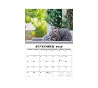 Calendario Gatti 2026 | Figurine Artisanale Moteur V8 Imprimée 3D - Calendario con Gattini - per Sala da Pranzo Camera da Letto Studio Ufficio Studenti Insegnanti Consulenti Liberi Professionisti Labo