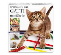 Calendario Gatti Marachelle 2026