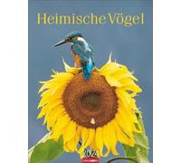 Calendario Heimische Vögel 2024