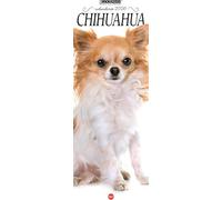 Calendario Lisa Goodman Chihuahua calendar 2026