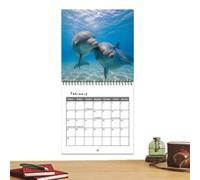 Calendario mensile 2027 Gestione del programma della fotografia dei delfini | Calendario mensile da parete per tutto l'anno, per aule, dormitori, camera da letto, studio, studenti, adolescenti, adulti