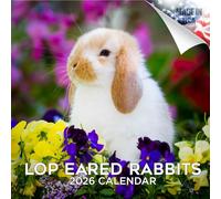 Calendario mensile da parete con orecchie di coniglio 2022 2023, formato da 12 x 24 cm, carta spessa e senza sbavature, idea regalo, calendario per insegnanti accademici